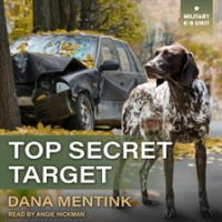 Top_secret_target